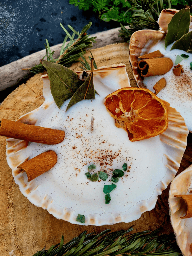 Bougie Coquille Saint-Jacques Abondance